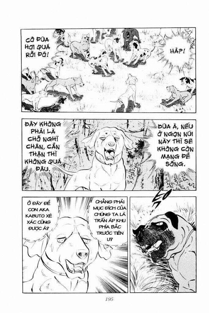 chú chó có nghĩa - ginga nagareboshi gin chapter 29 9