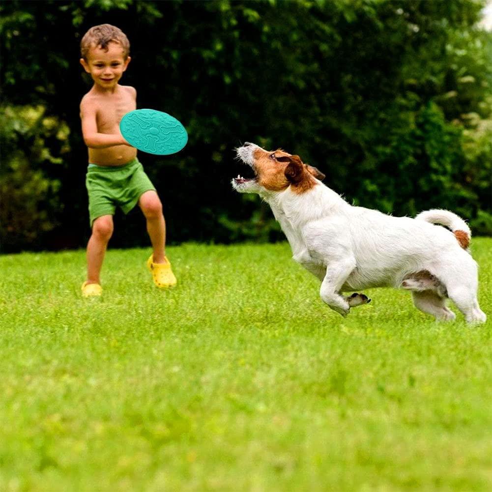 Đĩa cho chó, 2 chiếc đĩa nhựa cho chó, đĩa nhựa đồ chơi cho chó, đĩa nhựa đồ chơi cho chó, dùng để huấn luyện chó, các hoạt động ngoài trời cho chó lớn