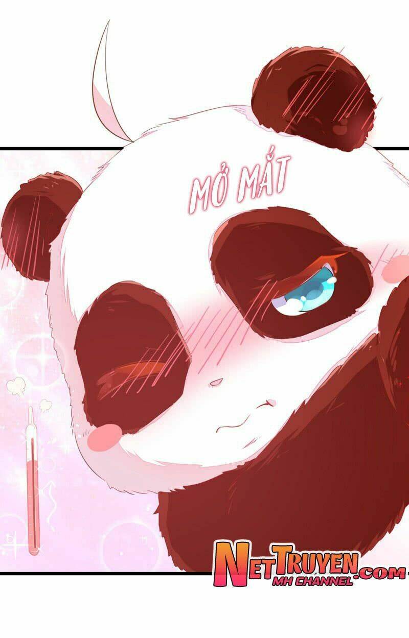 thiên thần gấu trúc muốn được ôm chapter 10 7