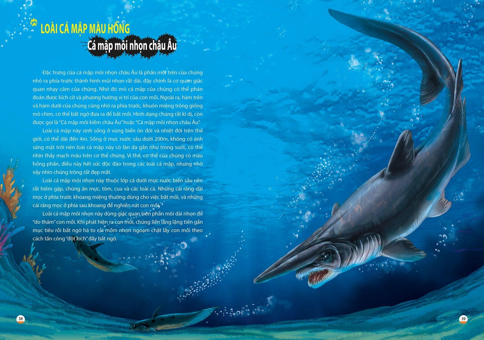 Khám Phá Thế Giới Động Vật Kì Thú: Thế Giới Của Các Loài Vật Kì Quái