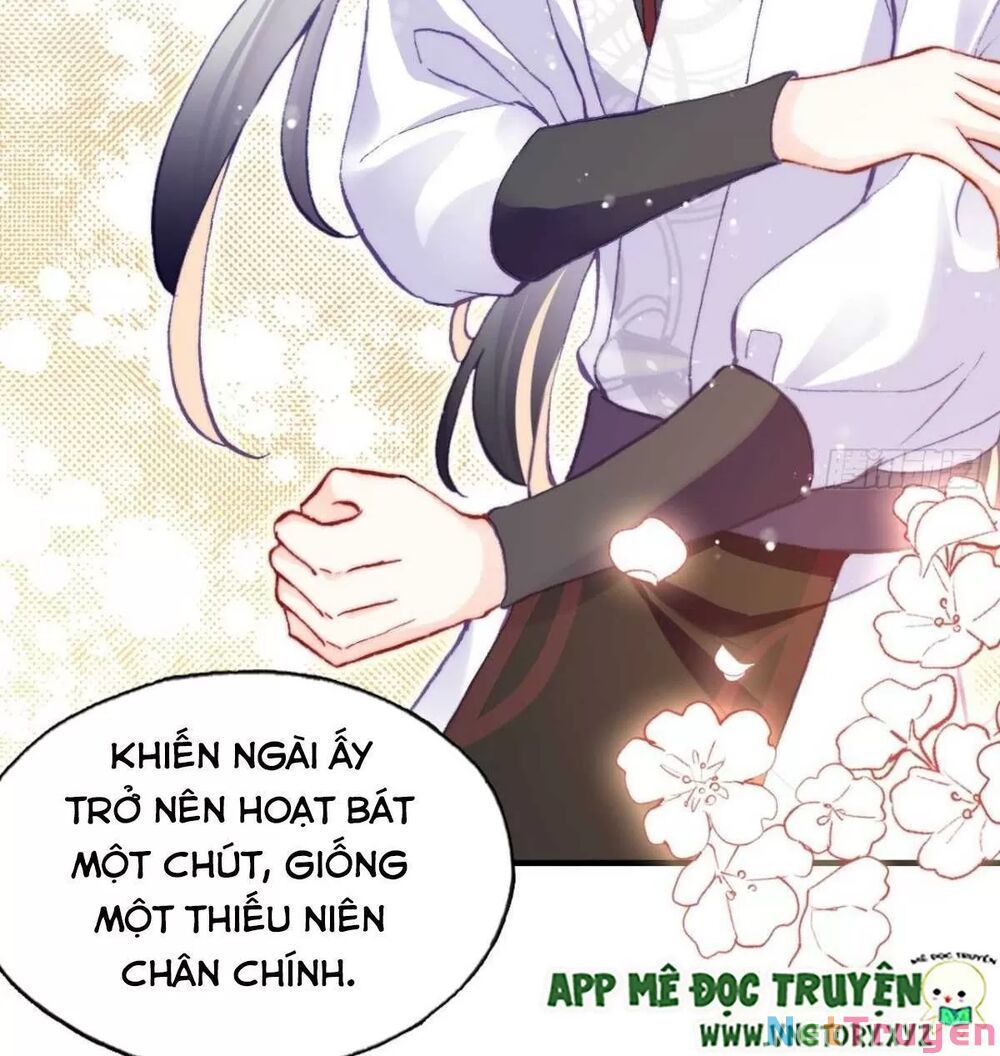 lại bị bệnh chiều chuộng quấn lấy chapter 66 32