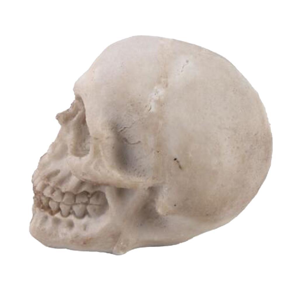 Home Statue Resin Craft for Desktop Decor