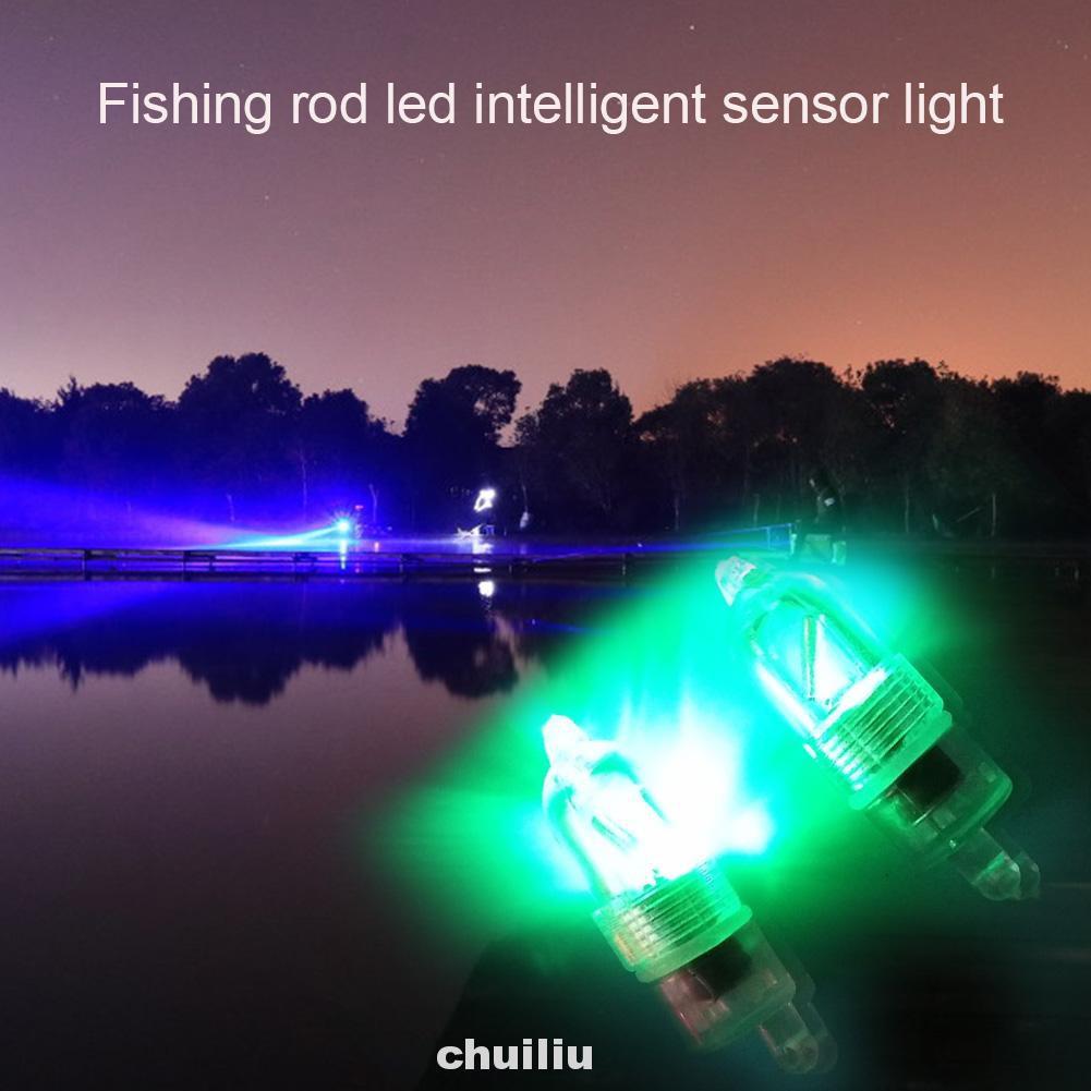 Set 5 Đèn Led Cảm Biến Câu Cá Thông Minh