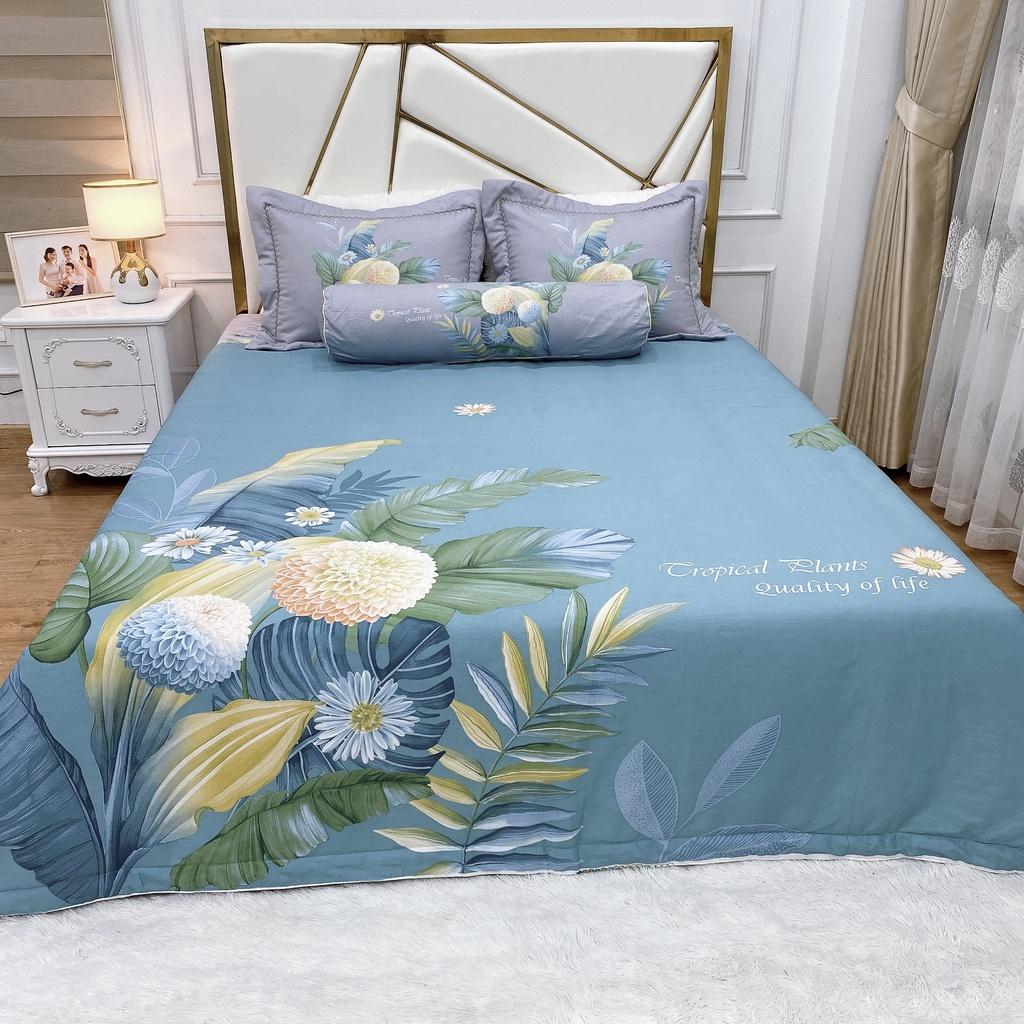 Bộ Ga Phủ Cotton Living