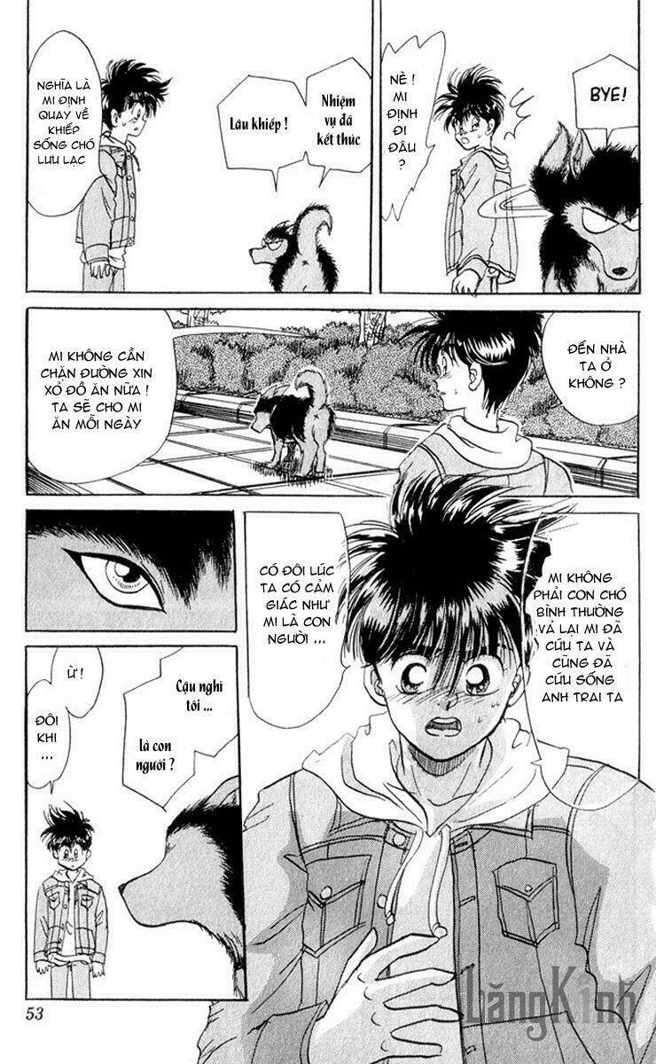 wild half chapter 1 49