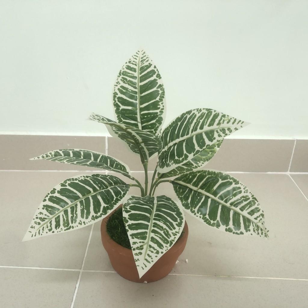 Cây giả trang trí - Cành lá giá - YY-35