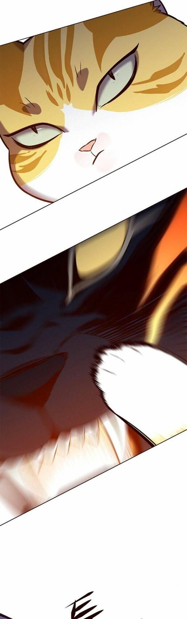 biến thân thành mèo chapter 163 25