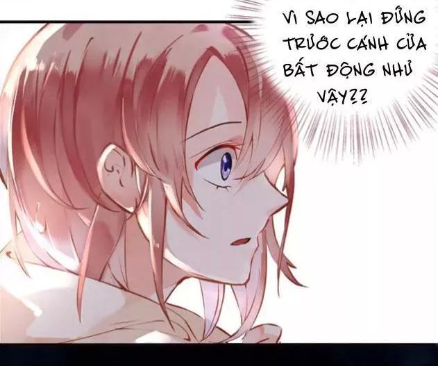 hoa hồng trên gai chapter 20 18