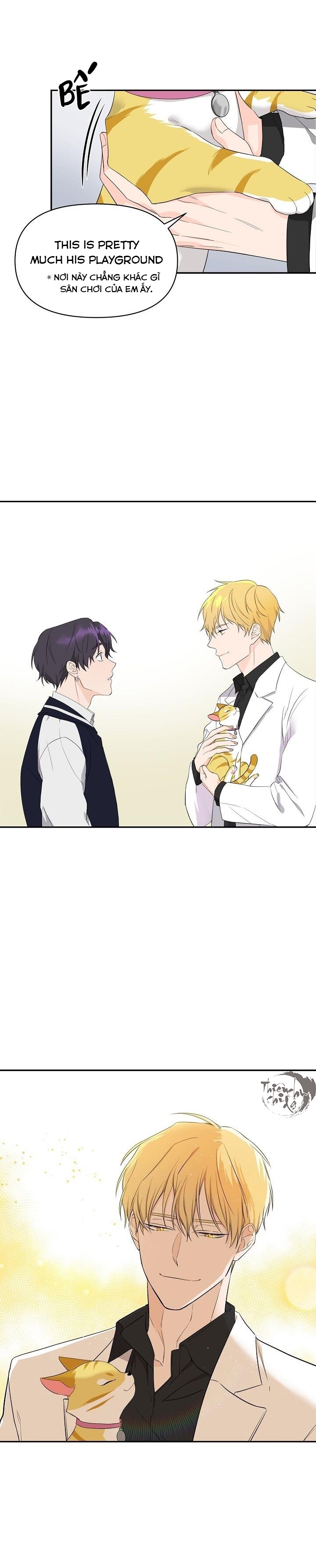 hoa ly hổ chapter 1 13