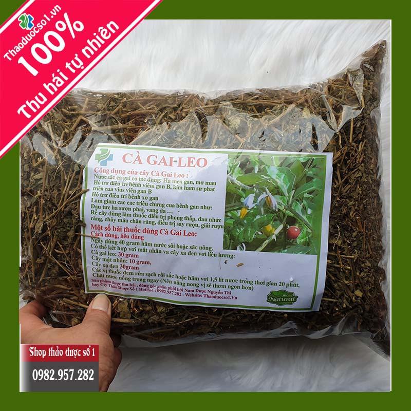 Cà gai leo xạ đen giải độc gan