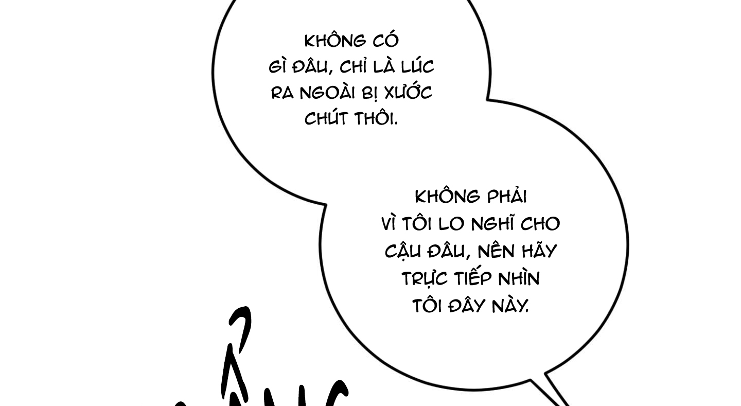 chiếu tướng chapter 91 169