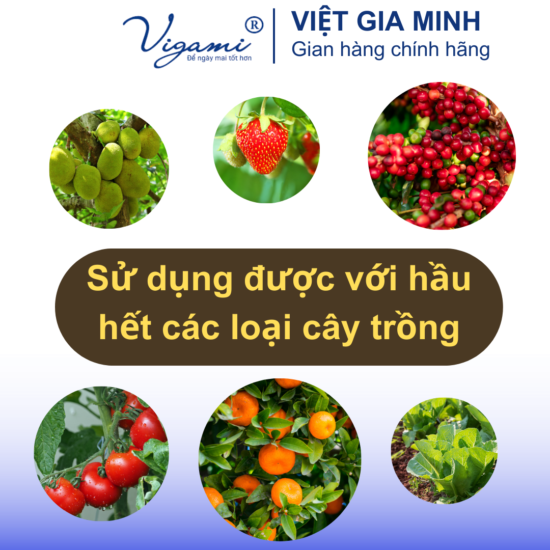Phân bón hữu cơ cao cấp Vigami Boson - Tốt đất - Khoẻ cây - Giải độc - Hạ phèn