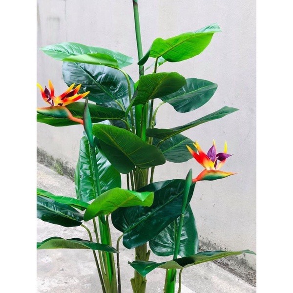 Combo 3 cây thiên điểu decor- Cây giả cao cấp
