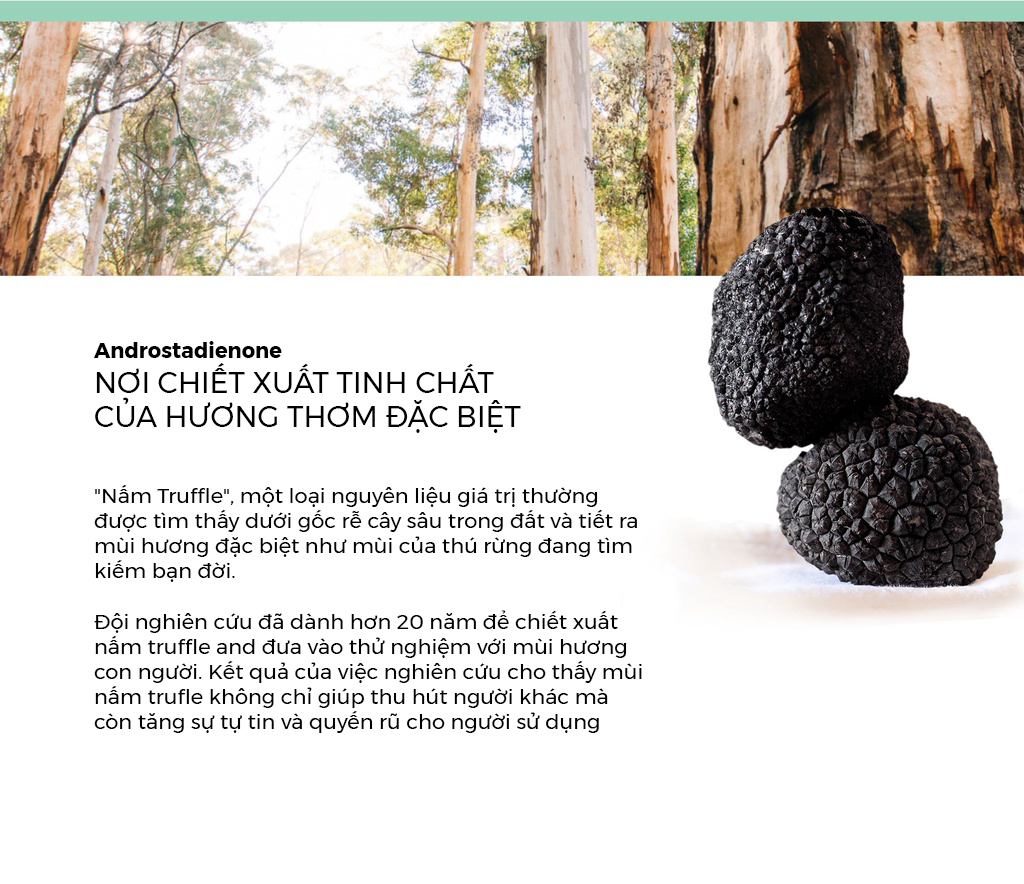 Sữa tắm cao cấp OH OPPA Hương Oải Hương Giúp Thư Giãn cơ thể, giảm mệt mỏi, mang đến làn da trắng sáng, mịn màng