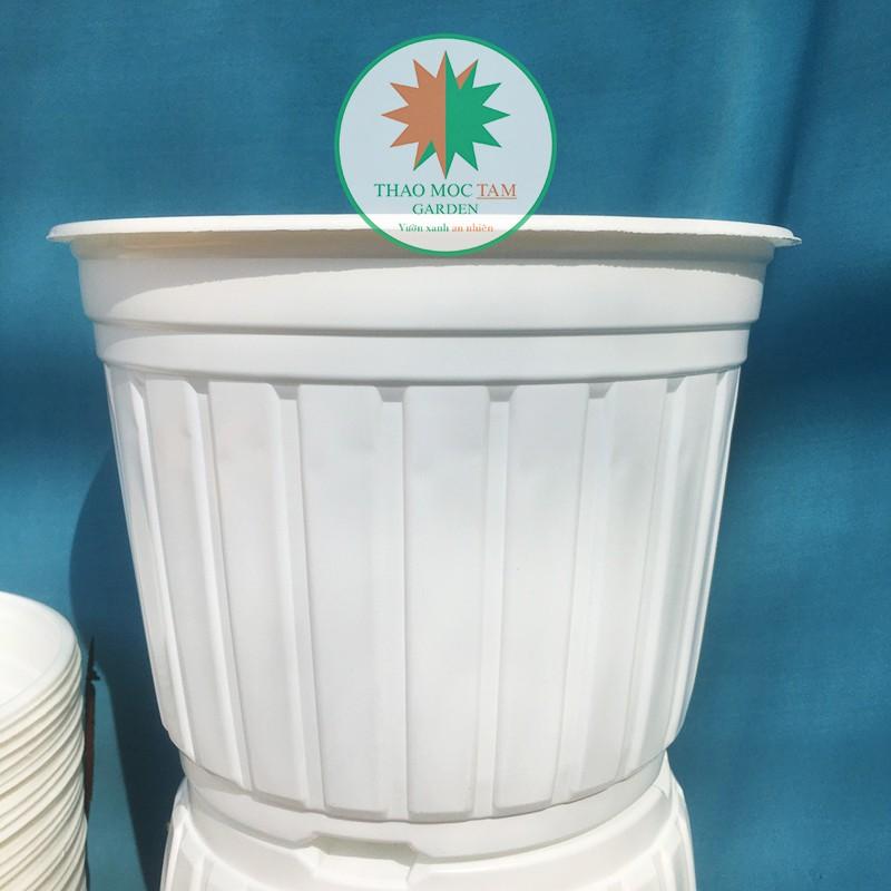 10c Chậu nhựa trồng cây 26x20cm - Chậu nhựa trồng hoa, phù hợp các dòng hoa bụi lớn, chậu trồng hoa hồng