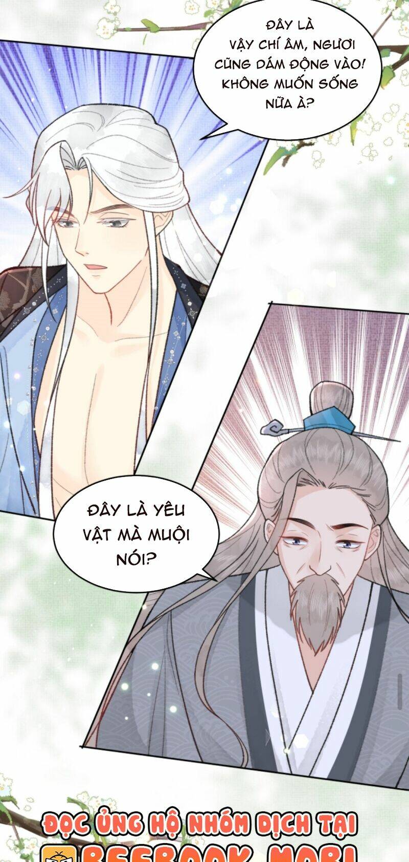 toàn tông môn đều là kẻ si tình, chỉ có ta là tỉnh táo chapter 59 11