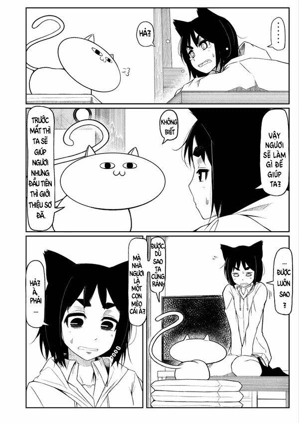 đây là câu chuyện về một con mèo chapter 0 14
