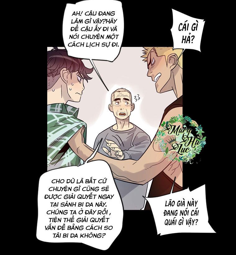 tôi muốn bay như một con bướm chapter 13 24