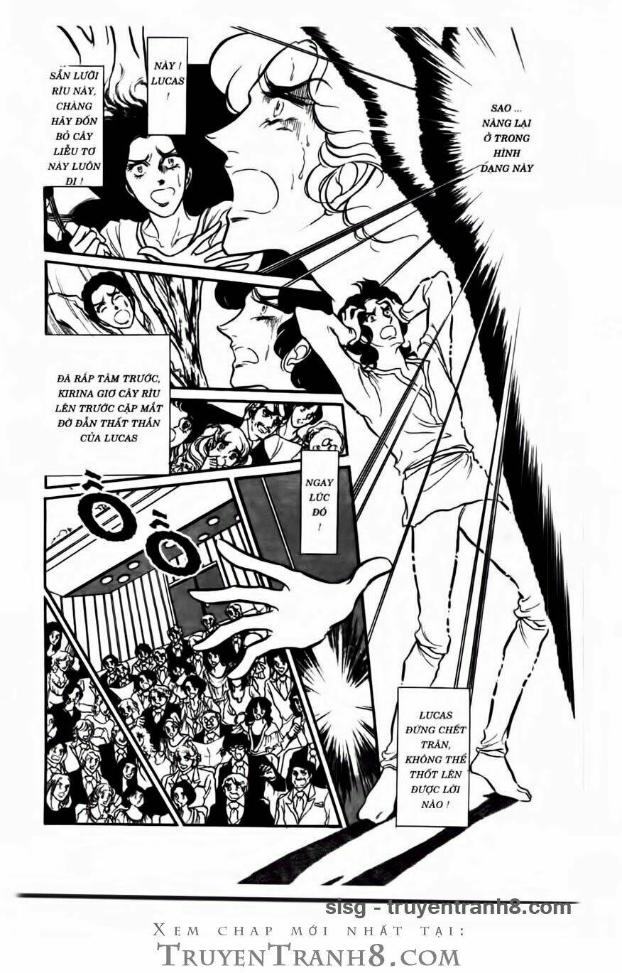 swan - vũ khúc thiên nga chapter 72 14