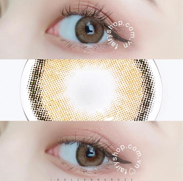 Kính Áp kính tròng cao cấp Bassia Brown Lens 14.0mm - FAIRY SHOP CONTACT LENS độ 0 đến 6