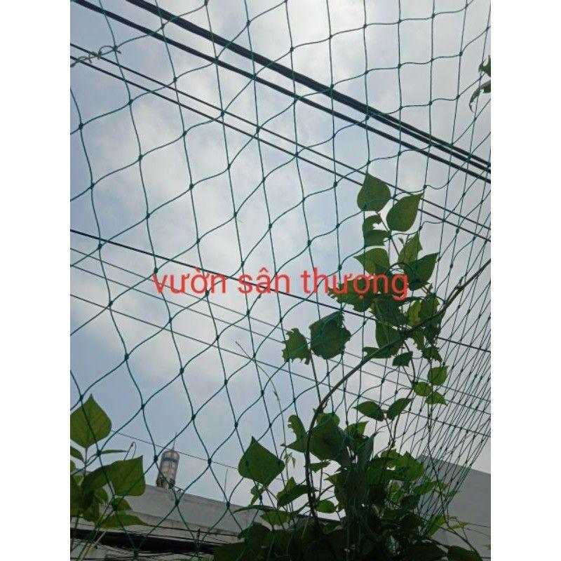 Lưới giàn leo 6F