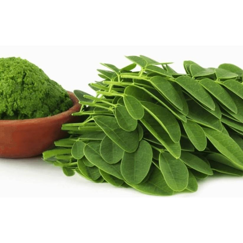 Bột Chùm Ngây Sấy Lạnh Nguyên Chất Vũ Gia