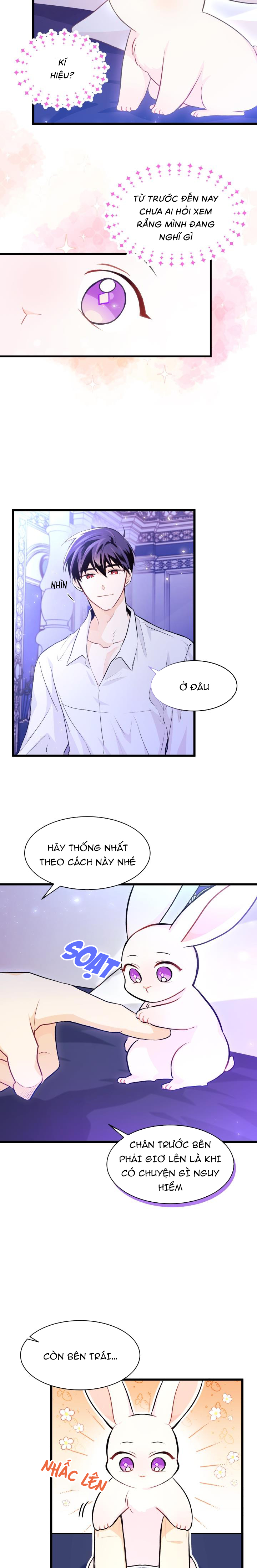 mối liên kết giữa báo đen và bé thỏ chapter 16 4