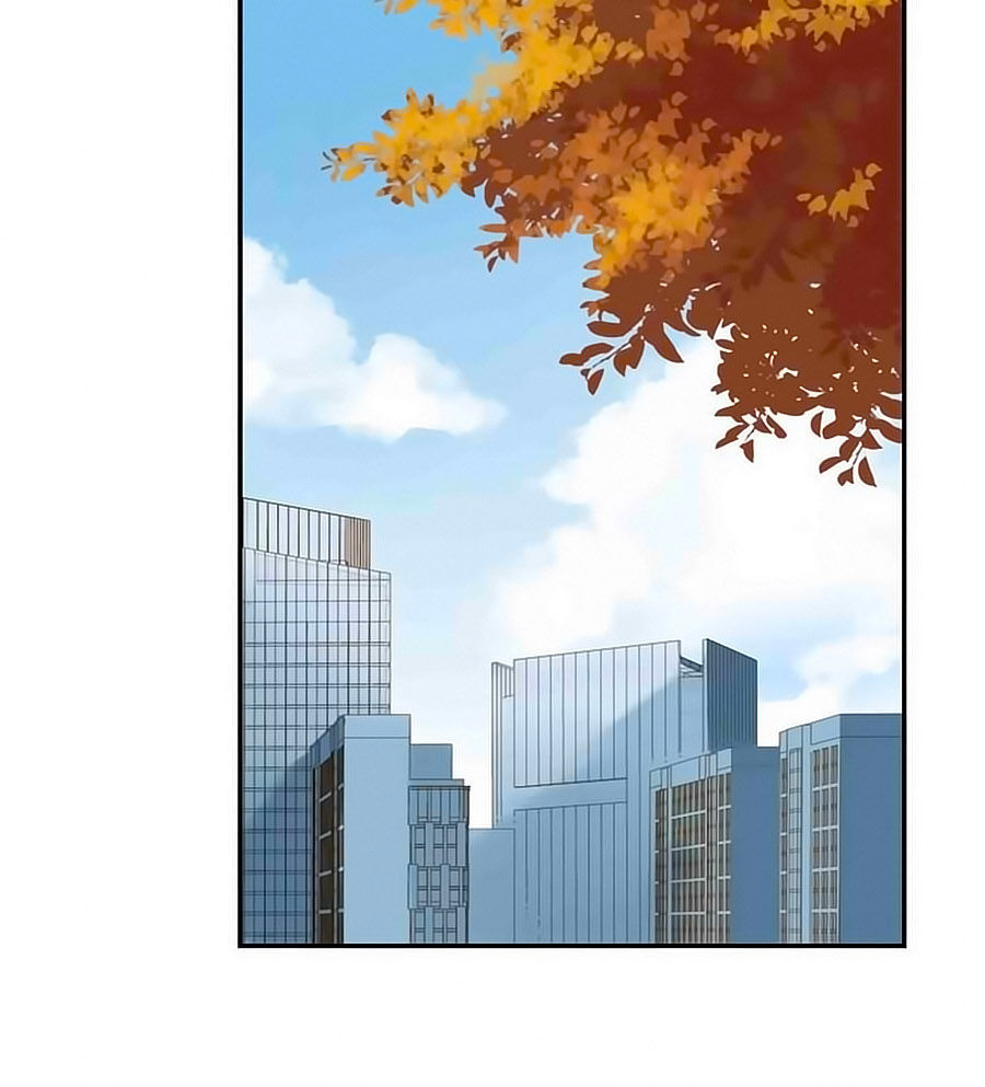 bạc hà chi hạ chapter 41 24