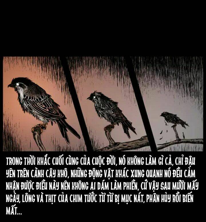 U Minh Ngụy Tượng Chapter 38 10