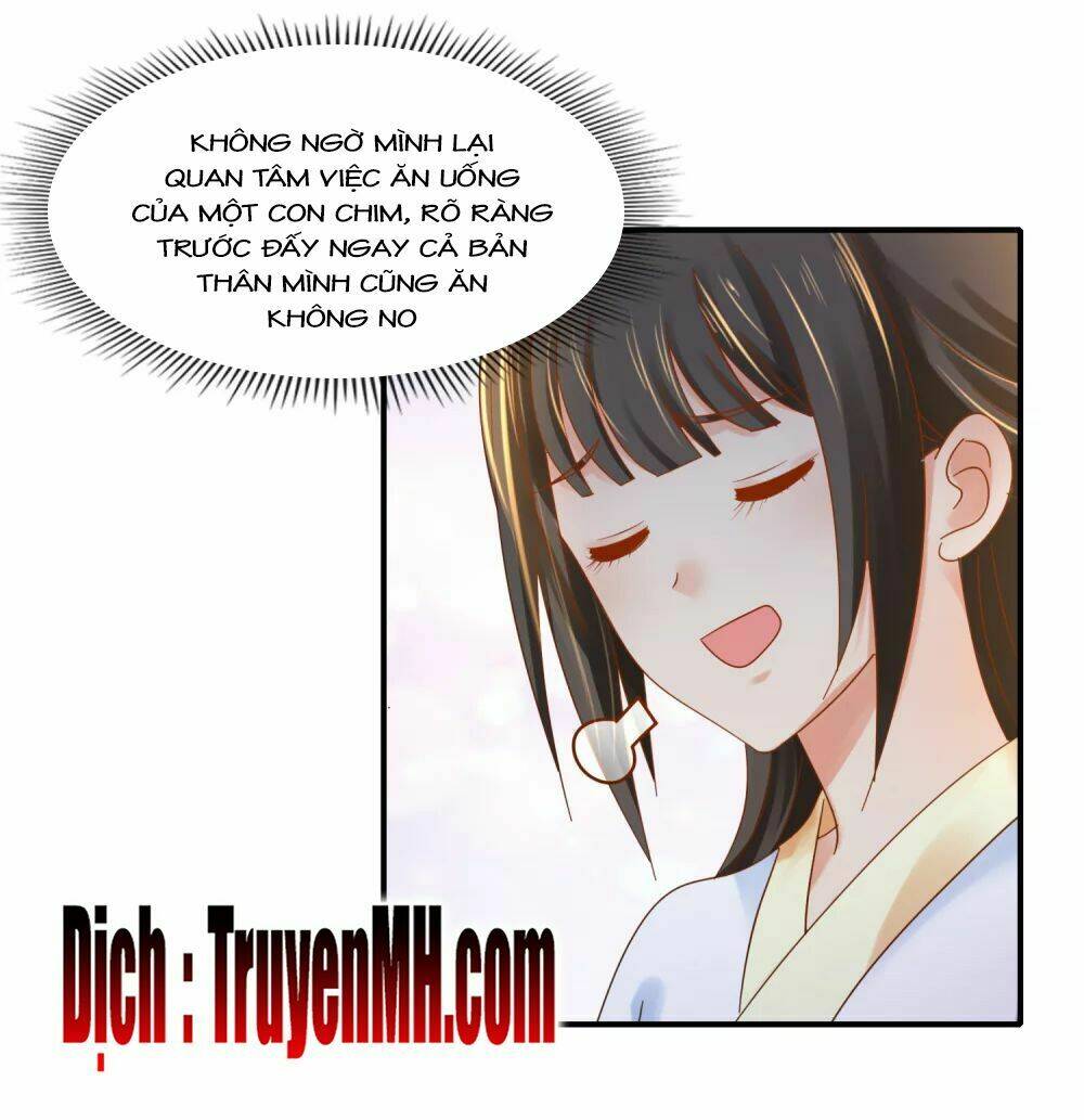 lãnh cung phế hậu muốn nghịch thiên chapter 140 12