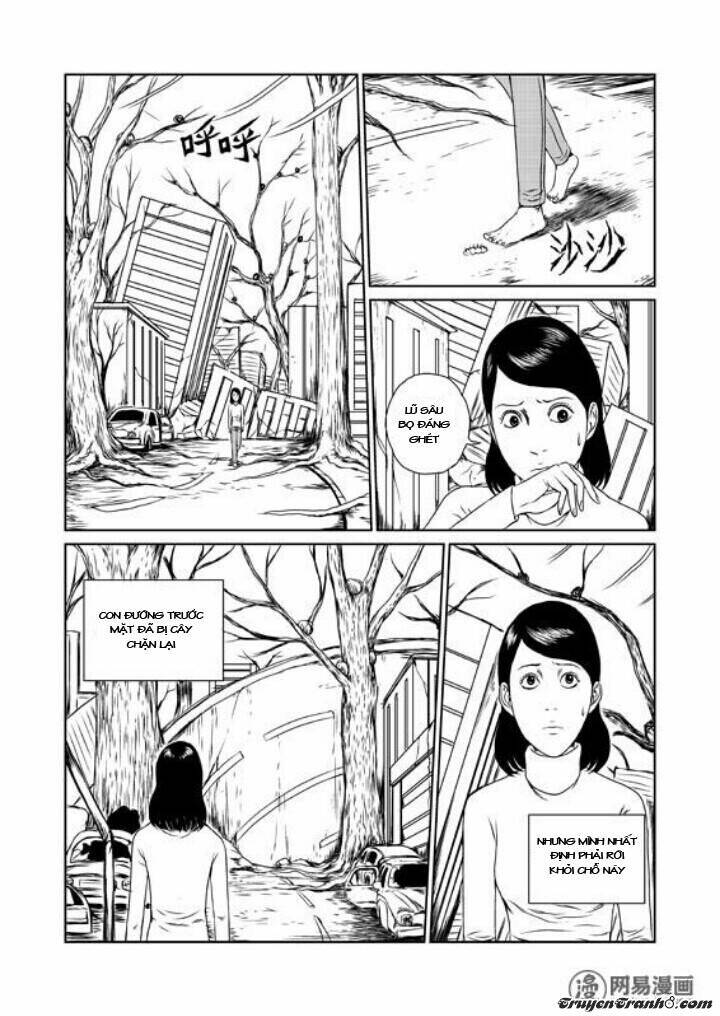 tổ chim chapter 1 26