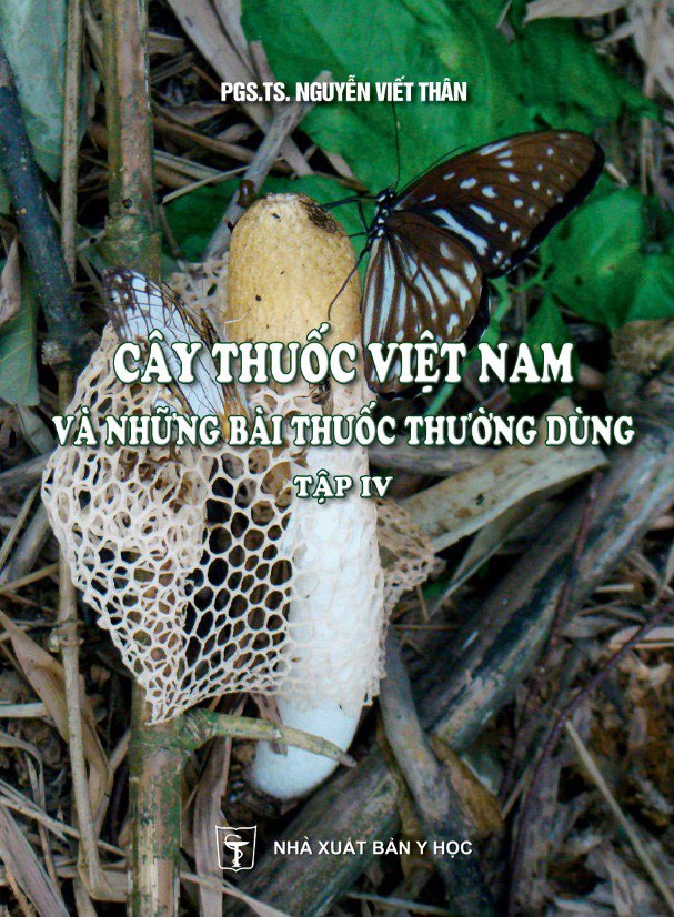 Sách - Cây thuốc Việt Nam và những bài thuốc thường dùng