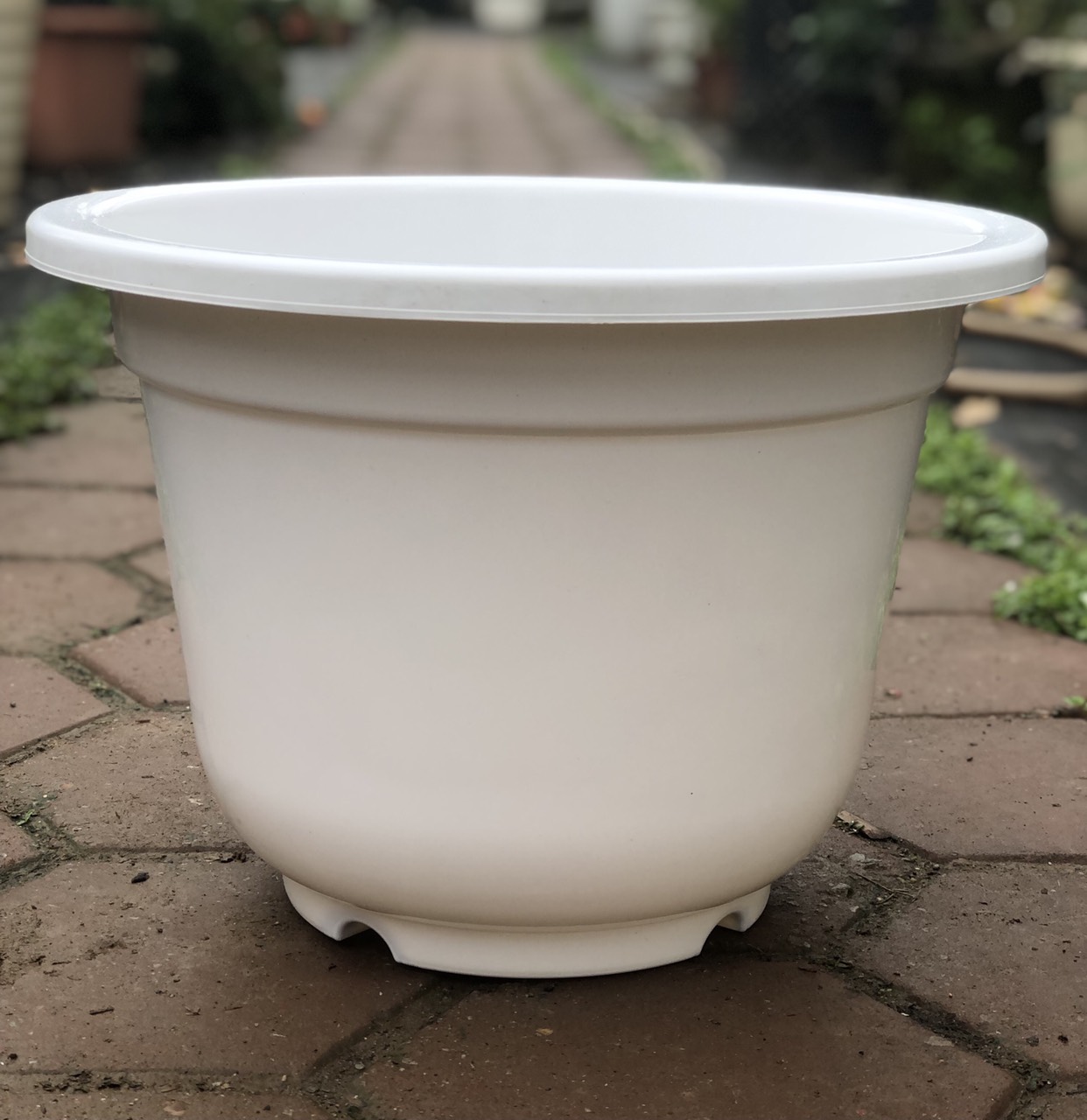 Chậu nhựa trồng cây, trồng hoa, chậu nhựa giả sứ, chất lượng cao