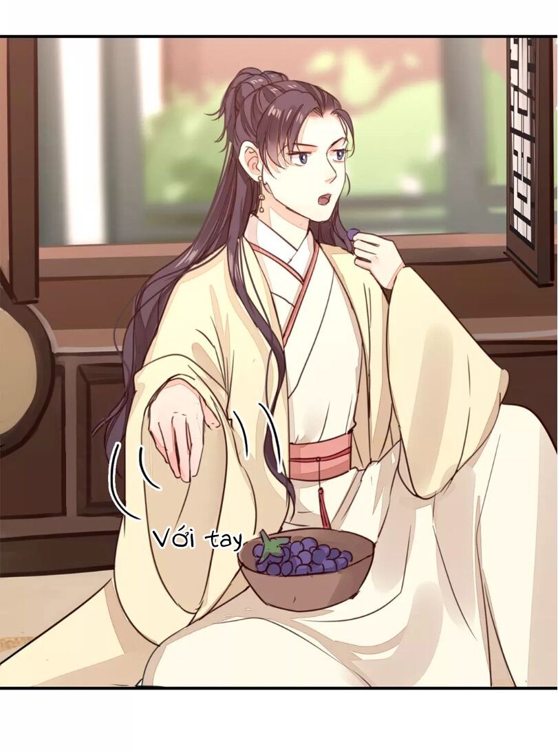 chỉ phu vi thê chapter 24 8