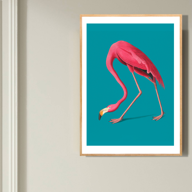 Tranh trang trí khung kính gỗ sồi treo tường cao cấp"Pink Flamingo"