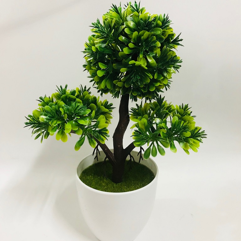 Chậu Bonsai nhựa 3 nhánh dáng đứng các màu