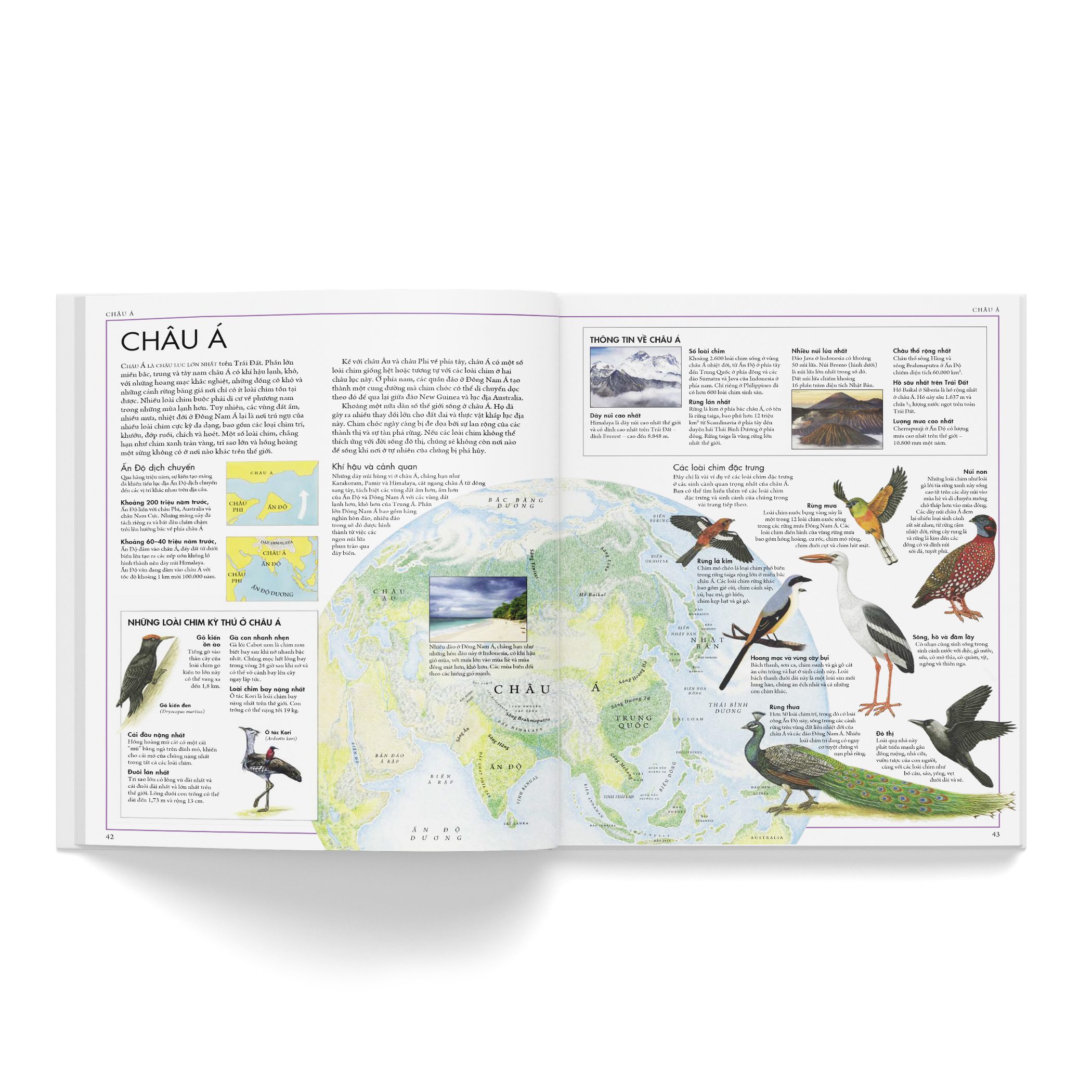 Combo 2 cuốn: Atlas động vật + Atlas các loài chim - Tặng 1 cuốn Vì sao? Như thế nào (Sinh thái hoặc Năng lượng)