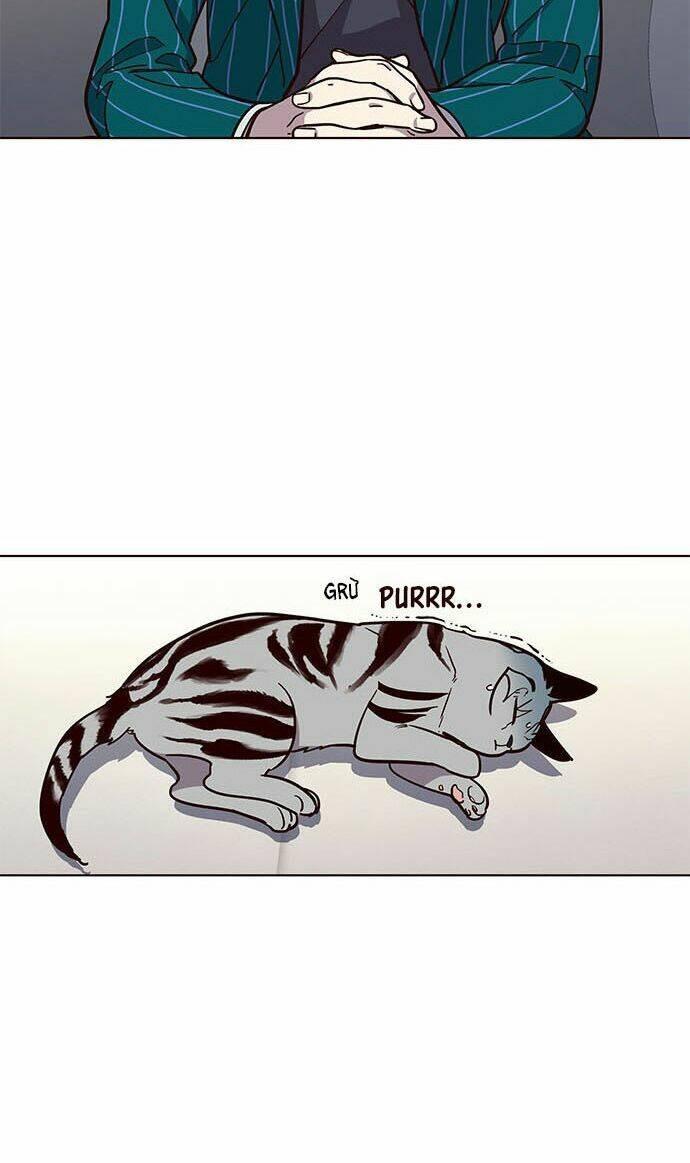 biến thân thành mèo chapter 16 43