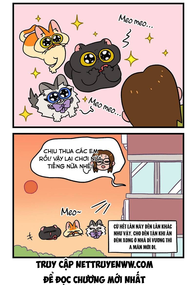 a mãn và mạch trà chapter 50.1 6