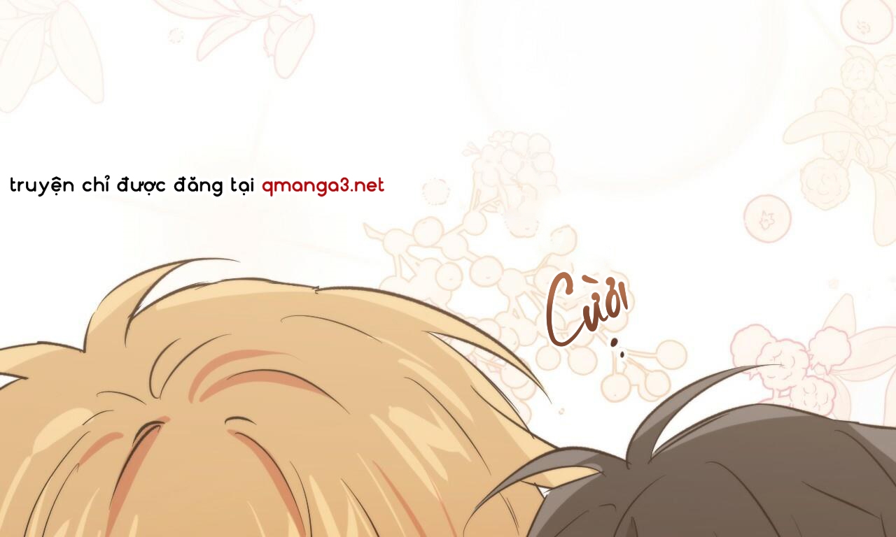 những chú thỏ của hapypy chapter 53 100