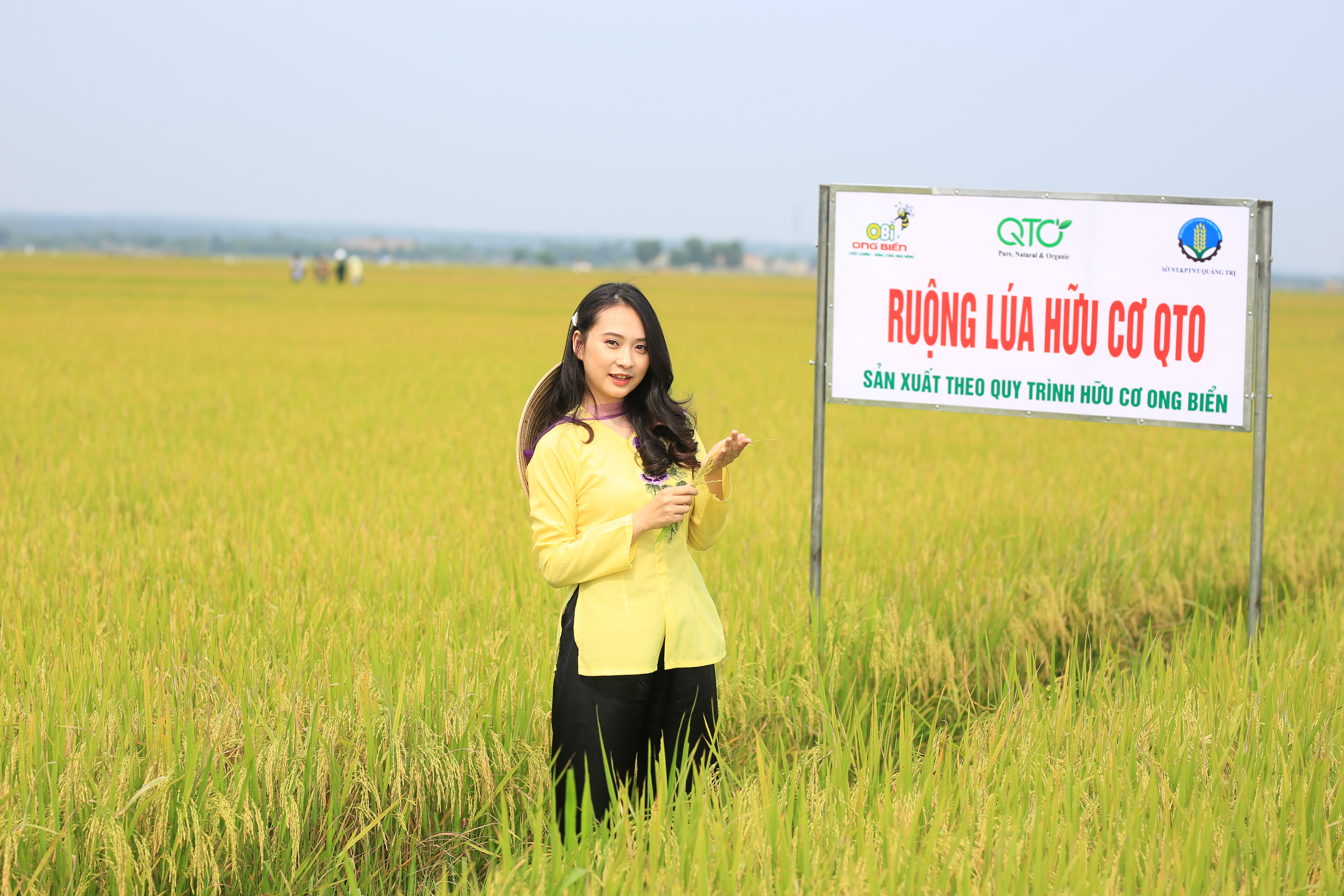 GẠO HỮU CƠ QUẢNG TRỊ 5 KG