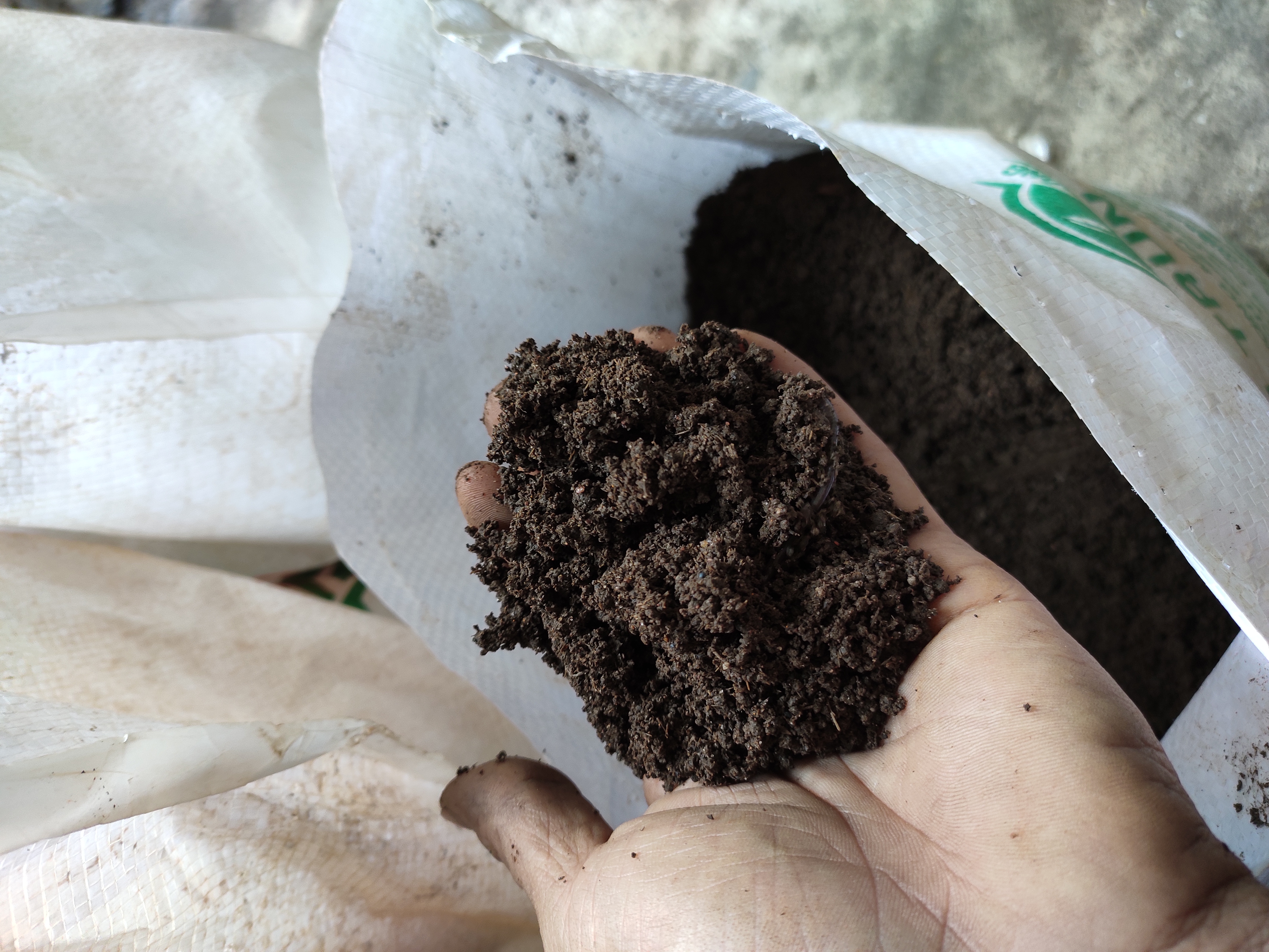 Phân trùn quế truyền thống, phân trùn quế nguyên chất 10kg- earthworm manure - vermicompost