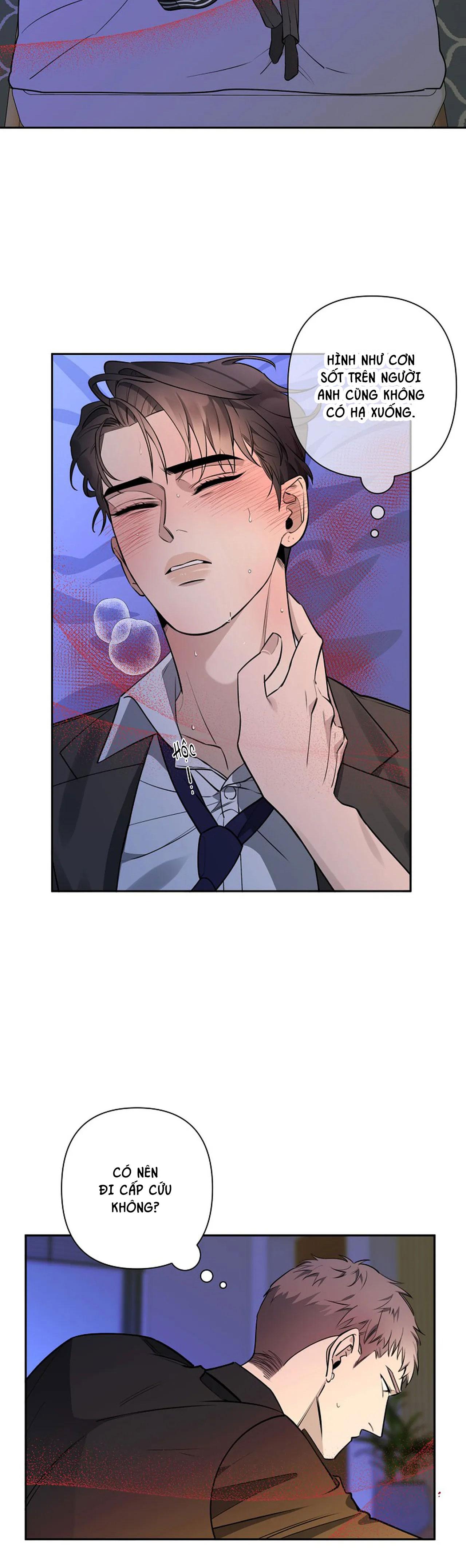 đêm dịu dàng chapter 37 15