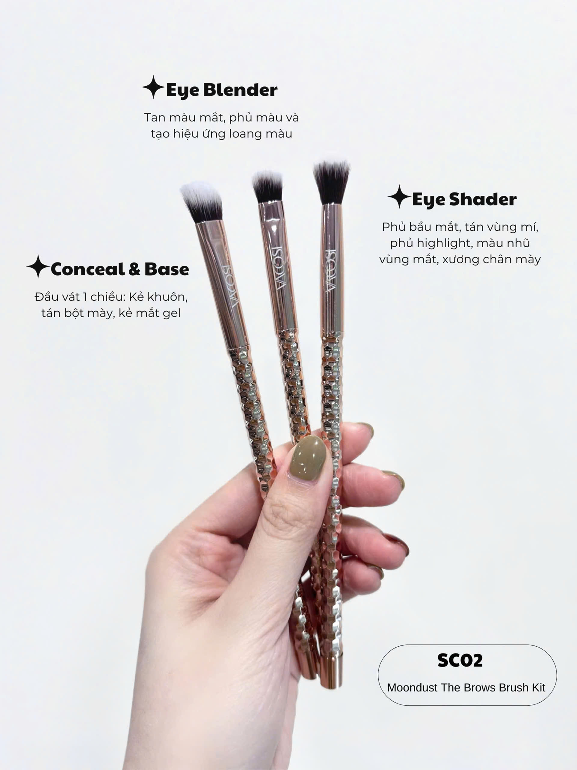SC02 - BỘ KIT 3 CỌ MẮT VACOSI, PHIÊN BẢN GOLDEN DRAGON - VACOSI MOONDUST THE EYES BRUSH KIT, 3PCS