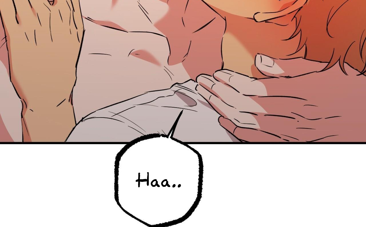 đàn thỏ của habibi chapter 54 6