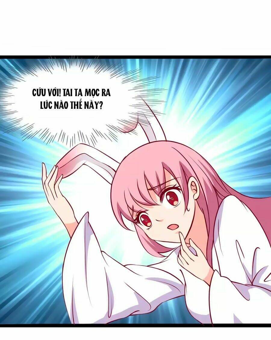 thỏ yêu tiểu vương phi chapter 77 9