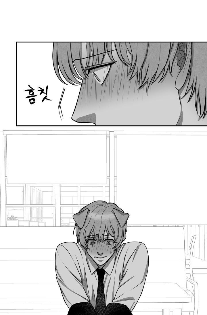 khi cún biết yêu chapter 3 4