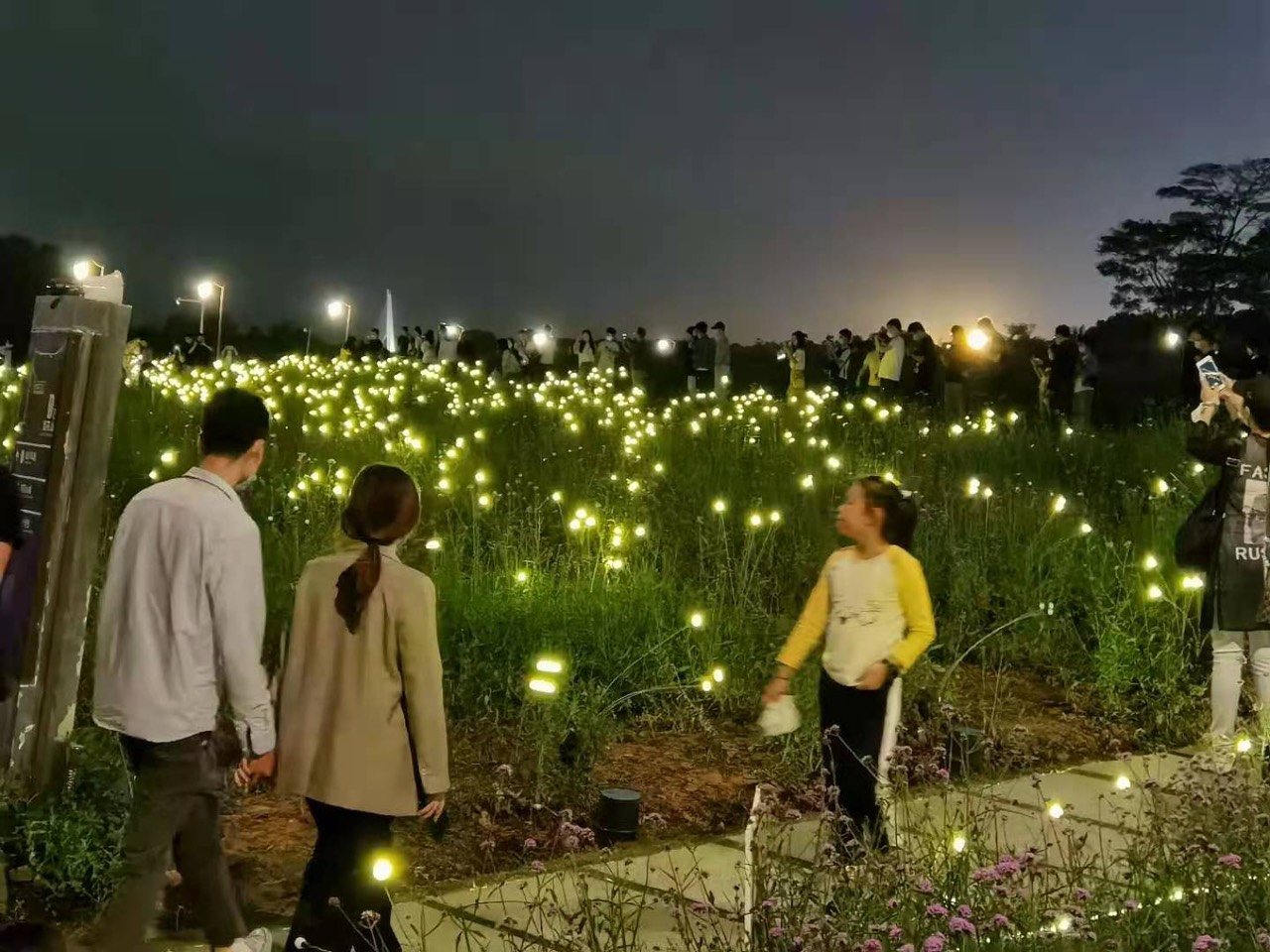 Cây đèn trang trí sân vườn, công viên, lối đi, buổi tiệc, lễ tết chuyển động xoay ngoài trời GIVASOLAR GV-PL818