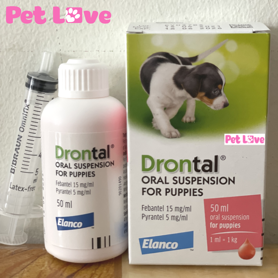 Xổ giun Drontal dạng nước cho chó con