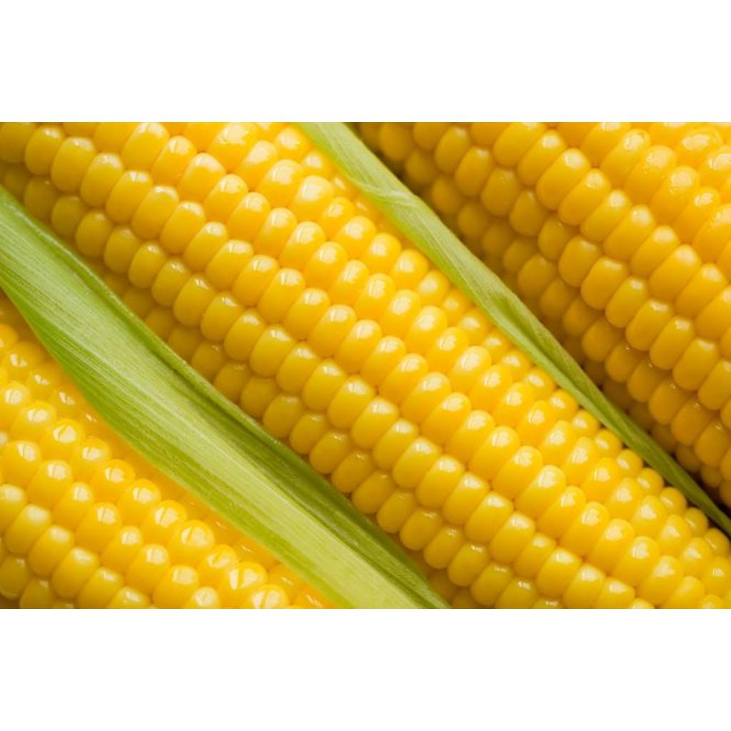 Hạt Giống Bắp Mỹ F1 - 20g